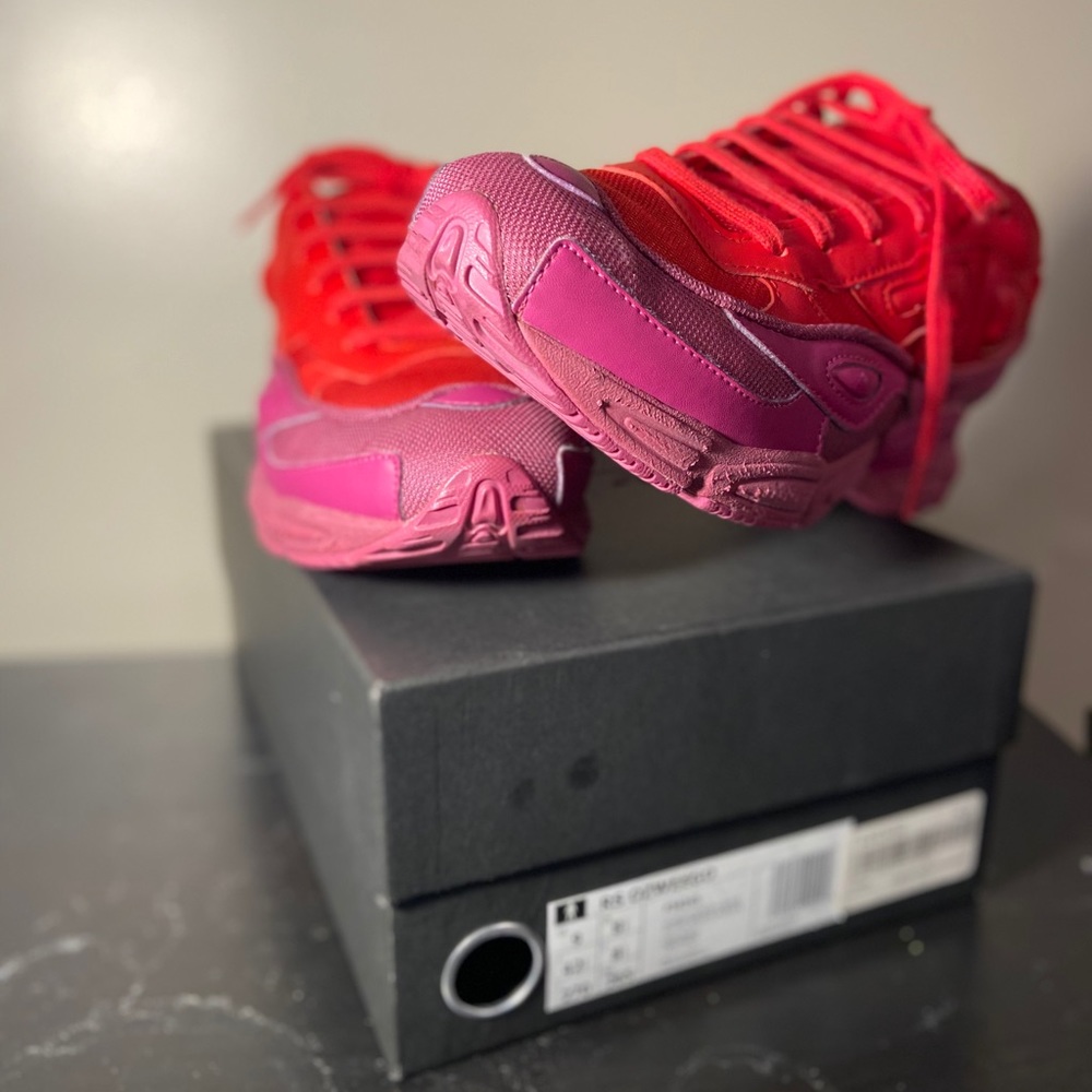 RAF simons ozweego